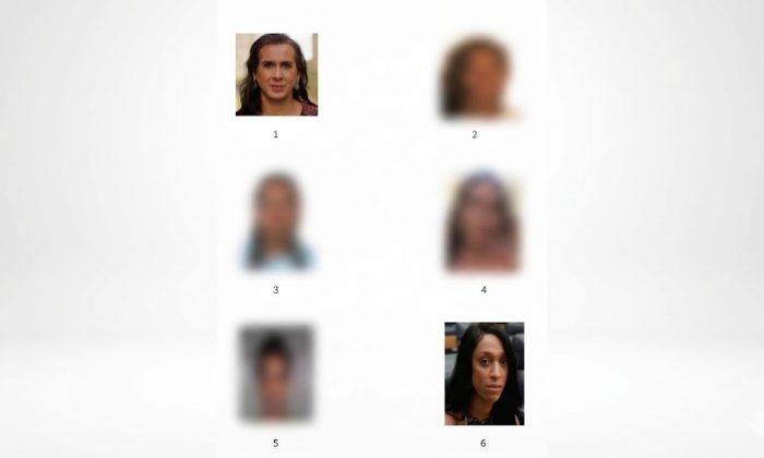 Duda Salabert na primeira foto e Erika Hilton na sexta (Imagem: Reprodução / Defensoria Pública de Pernambuco)