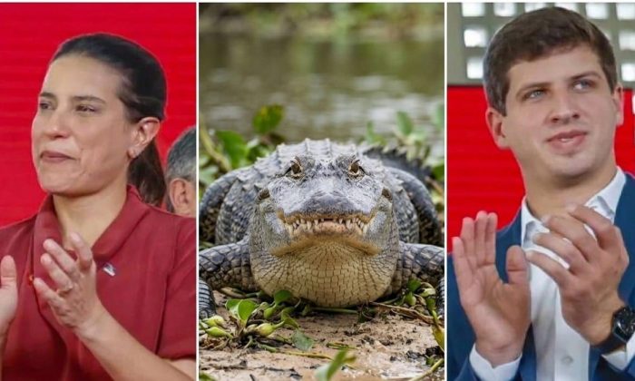 Pesquisas Quaest e Datafolha mostram variação positiva de João, estabilização de Raquel e cenário imprevisível à frente (Imagem: Montagem sobre foto de Ricardo Stuckert/PR)